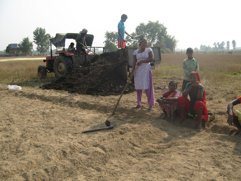Da haven var pløjet og delt i felter til rotation efter økologiske forskrifter kom der kompost. Normalt skal skolen selv fremstille sin kompost, men denne gang købte vi færdigt formuldet komøg. Kompost er essentielt i økologisk jordbrug, fordi det er den måde man tilsætter næring til jorden på. Kvinderne fra Soiya står klar for at smide det over i haven. De er efterhånden erfarne ud i kompost!