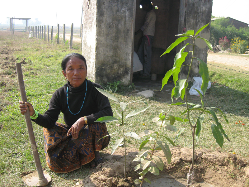 Tanken med træerne er dels, at de skal give skygge og skærme området, dels at de skal være en indtægtskilde. Fx. kan Neemtræets blade spises eller forarbejdes til lægemidler.