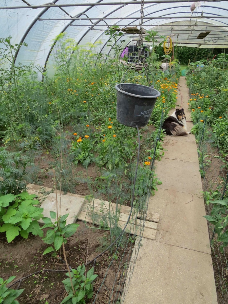 en anden vandingsteknik