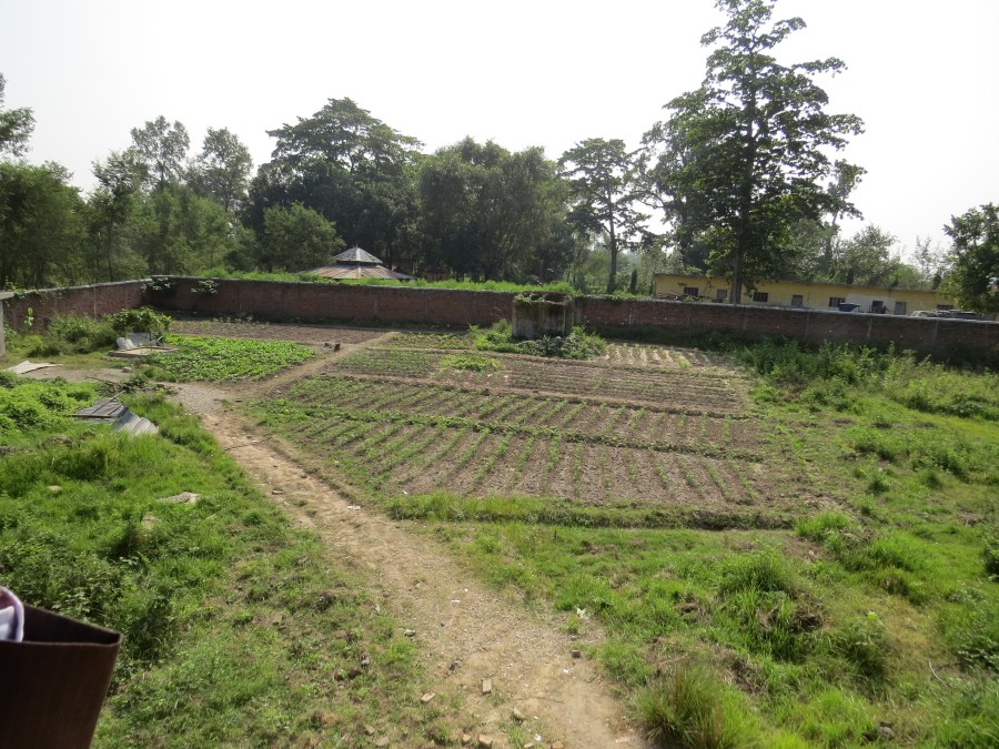 haven på Bhawanipur school