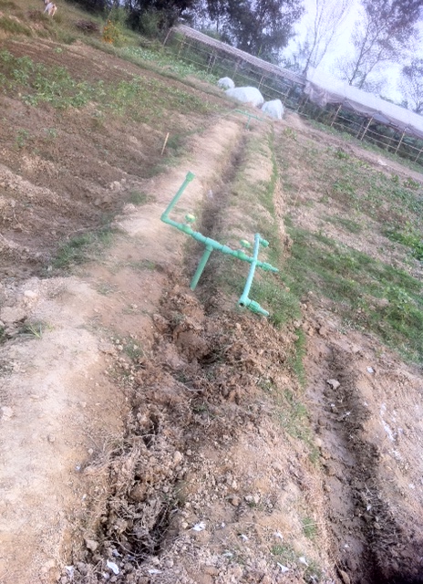 det nye vandingssystem