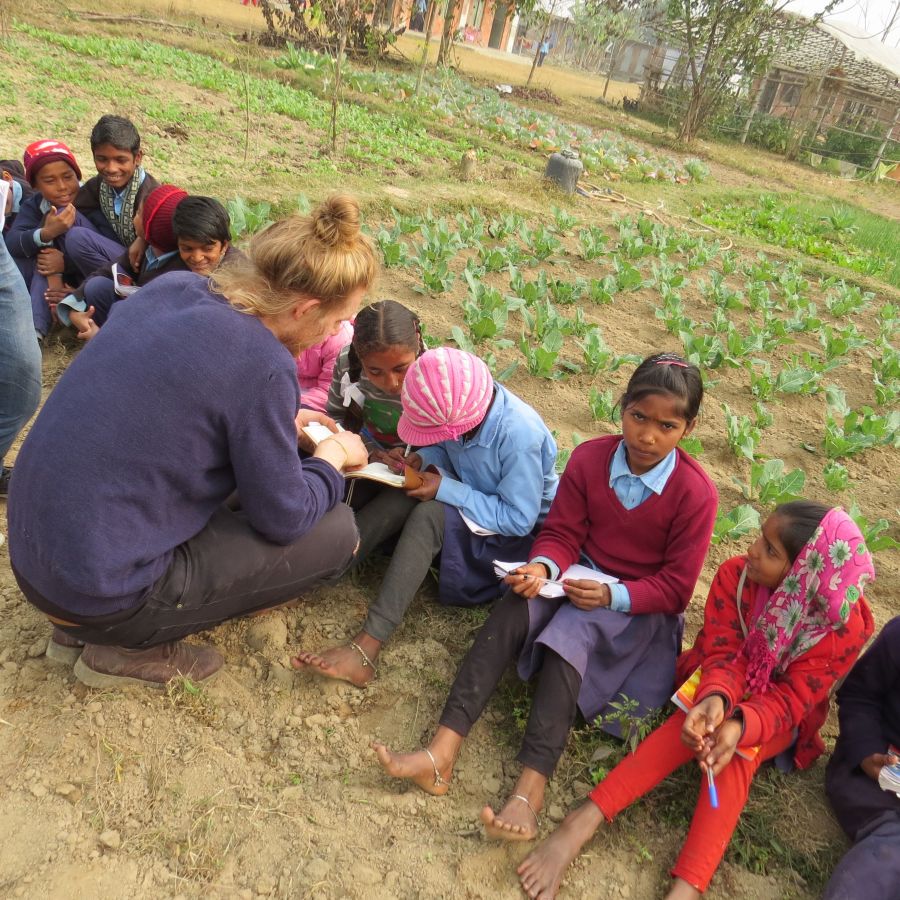 drenge-ihaven-grupper