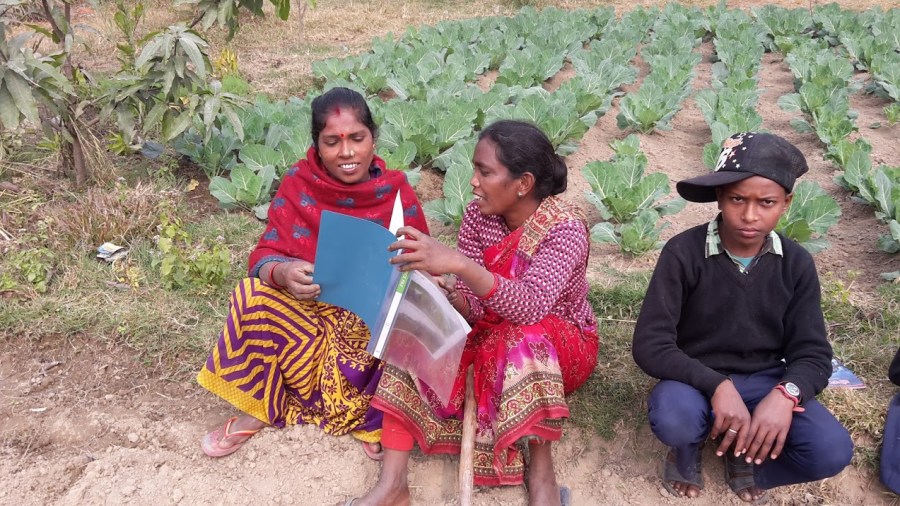 drenge-uv-videndeling