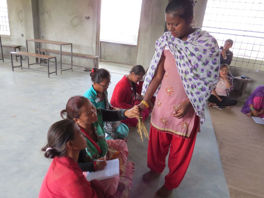 nov16-11-se-pa%cc%8a-korn