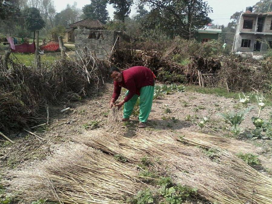 4-pabitra-tharufeb17