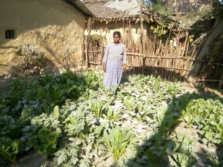 6-kuntis-garden-feb17