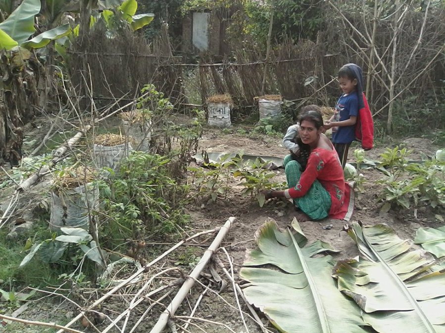 9-mulching2-asha-musahar-kerwani