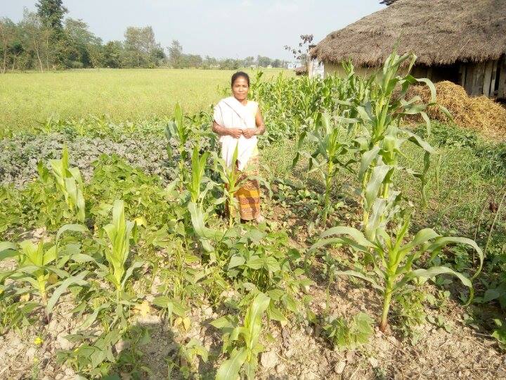 one-more-garden-feb17