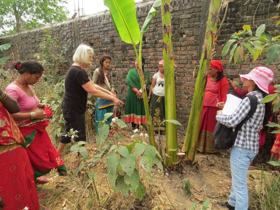 ingelis og bananerne2.jpg